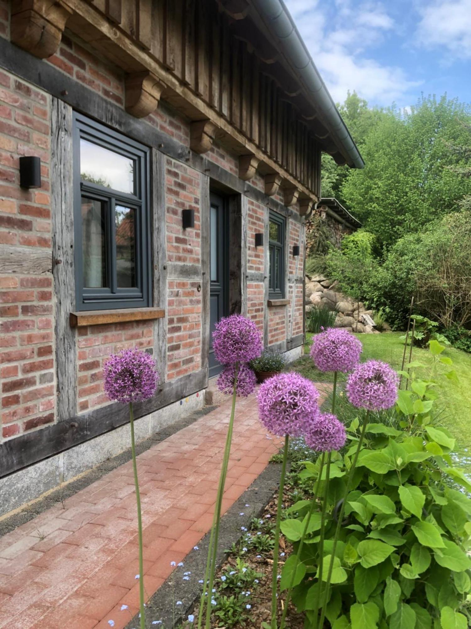 Вілла Haus Am Fischendorfer Bach Бад-Фаллінґбостель Екстер'єр фото